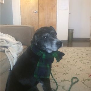 Meet your Posher, Cara