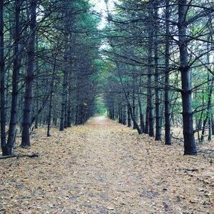 Meet your Posher, Dayna