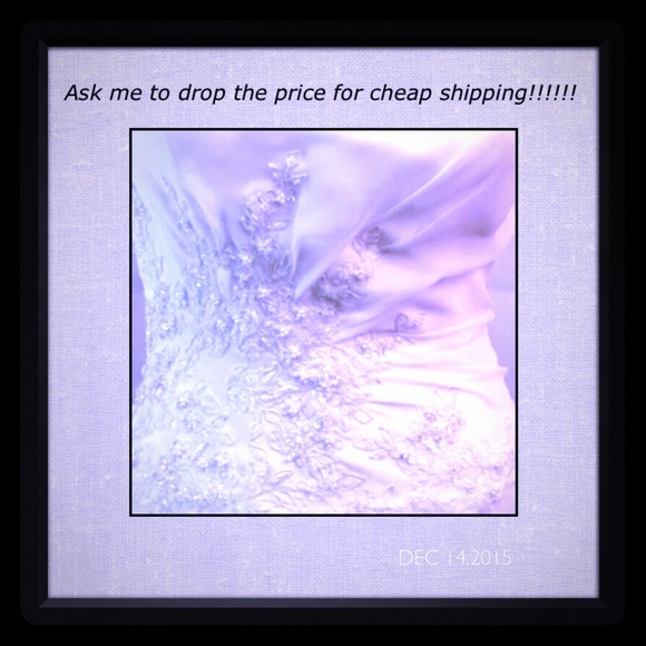 Cheap shipping today only