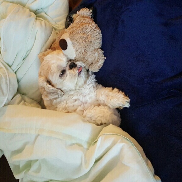 Meet your Posher, Samantha - Picture 1 of 1