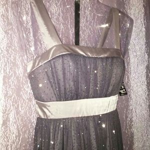 (Unused/tags)Glitter gray dress