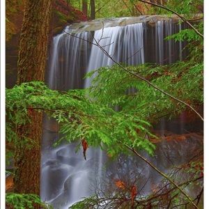 Meet your Posher, Brandy