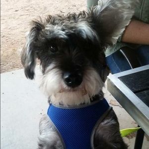 Meet your Posher, Adrienne