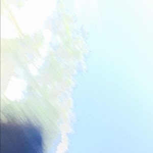 Meet your Posher, Chanel