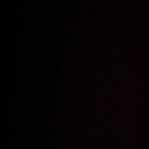 Meet your Posher, Sandy