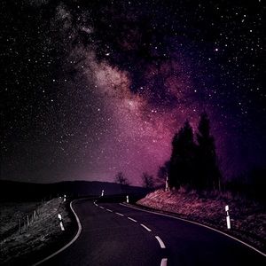 Meet your Posher, Archie