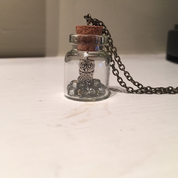 Silver Owl on the Rocks Jar Necklace