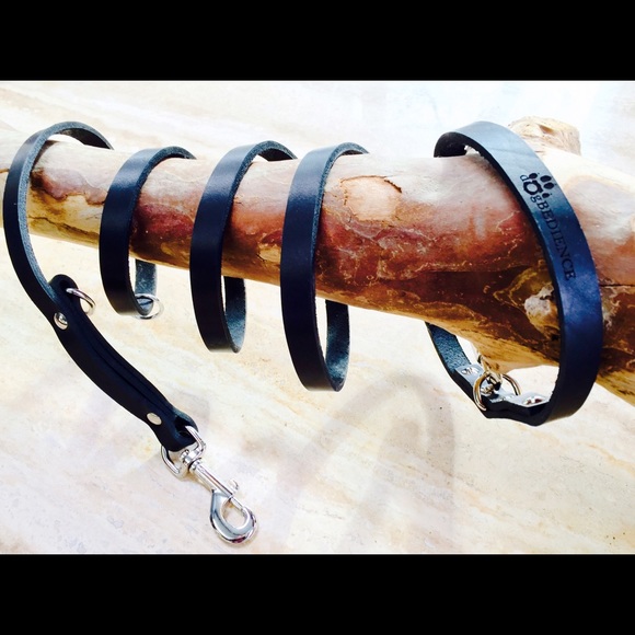 Leather Leash & Collar - Picture 2 of 2