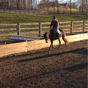 Meet your Posher, Desiree