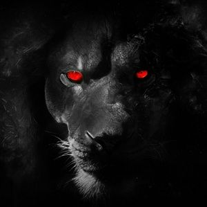 Meet your Posher, Bryson