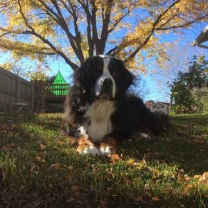 Meet your Posher, Jennifer