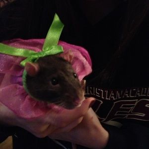 Meet your Posher, Anna kay