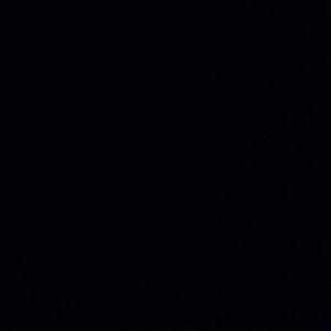 Meet your Posher, Niki