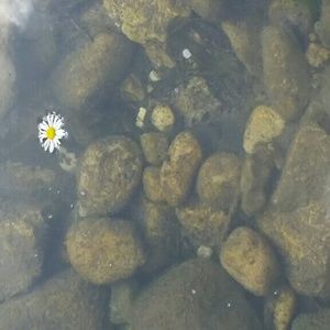 Meet your Posher, Tonya