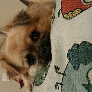 Meet your Posher, Candice