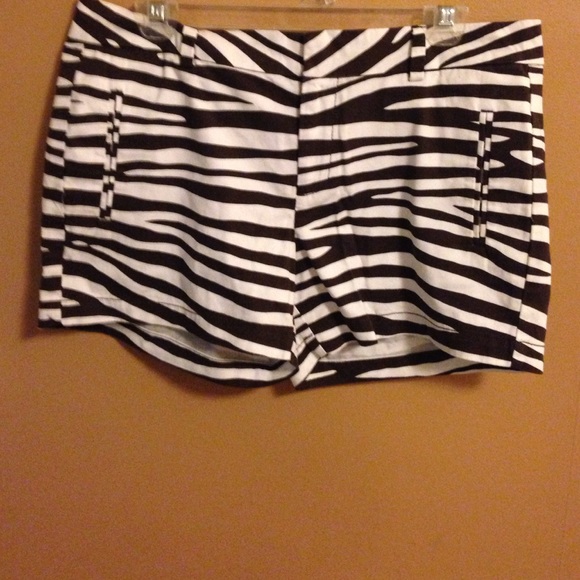Jcp shorts