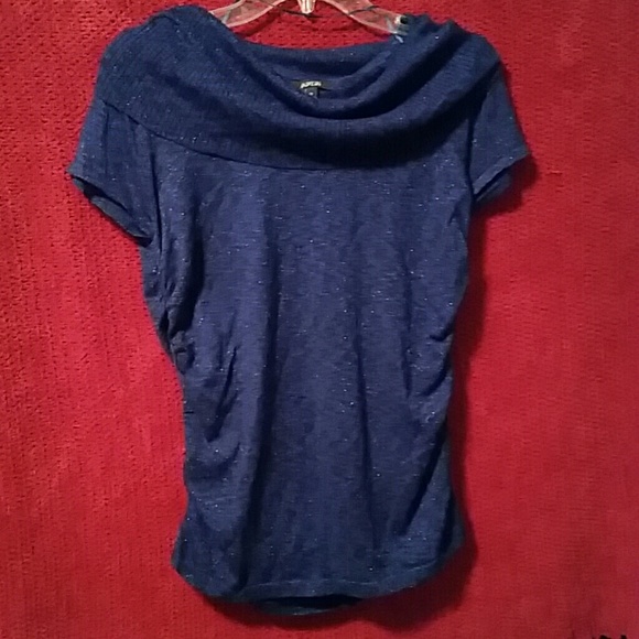 Sparkly Dark Blue Sweater