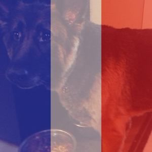 Meet your Posher, Annette