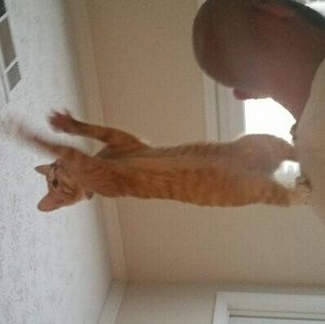 Meet your Posher, Janal