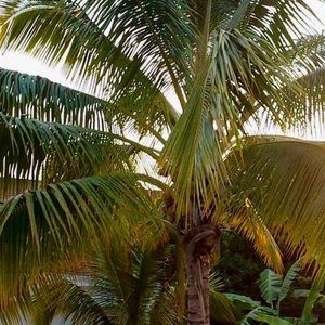 Meet your Posher, Anahi