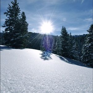 Meet your Posher, Alicia