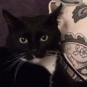 Meet your Posher, Katelyn