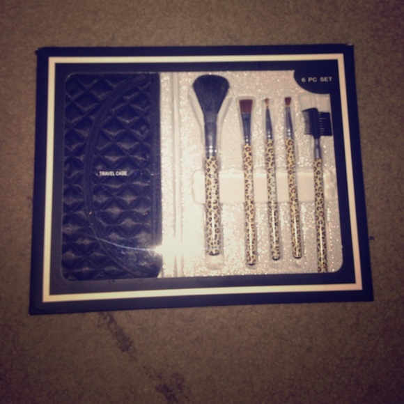 6 piece makeup brush kit