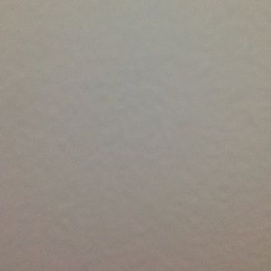 Meet your Posher, River