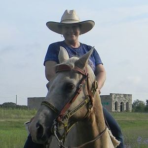 Meet your Posher, Bert