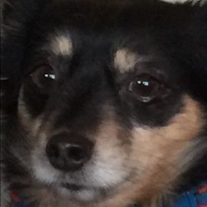 Meet your Posher, Patti