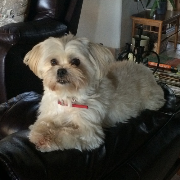 Meet your Posher, Natasia