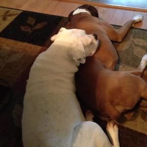 Meet your Posher, Mary