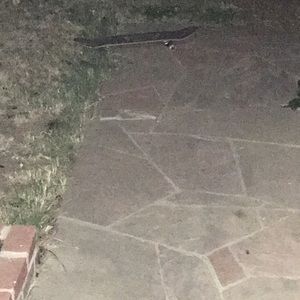 Meet your Posher, Lupe