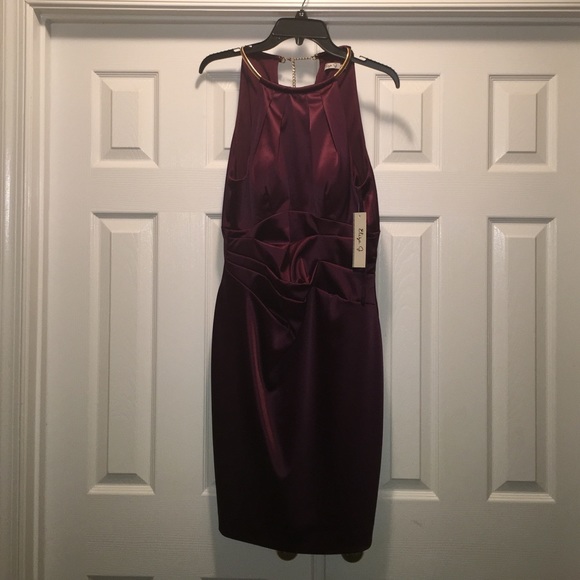 Maroon Eliza J Dress