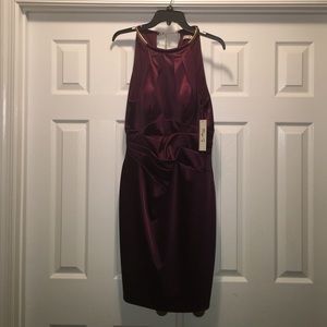 Maroon Eliza J Dress