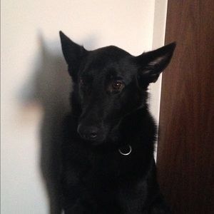 Meet your Posher, Cassie