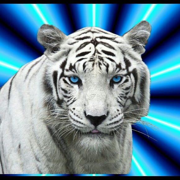 Meet your Posher, Alexa