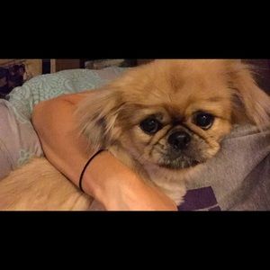 Meet your Posher, Ty