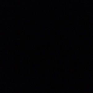 Meet your Posher, Jayla