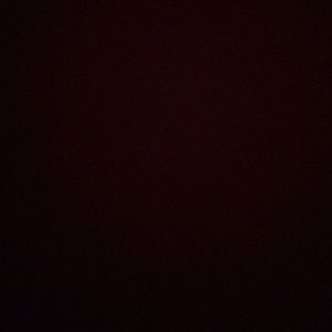 Meet your Posher, Jackson