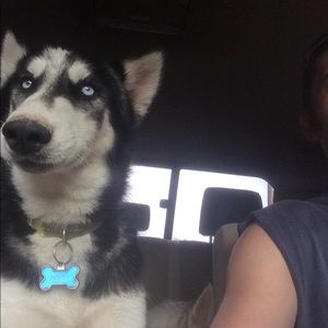 Meet your Posher, Cameron