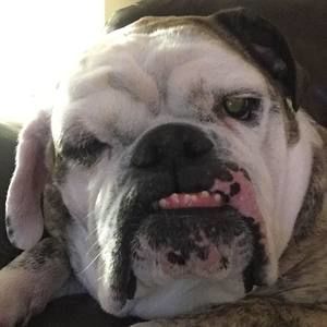 Meet your Posher, Bianca