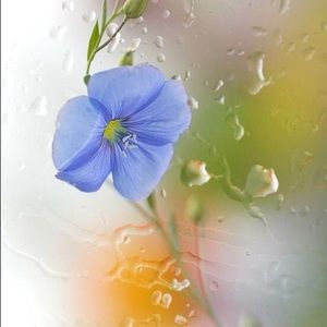 Meet your Posher, Eloisa