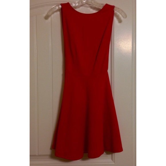 American Apparel ponte skater dress