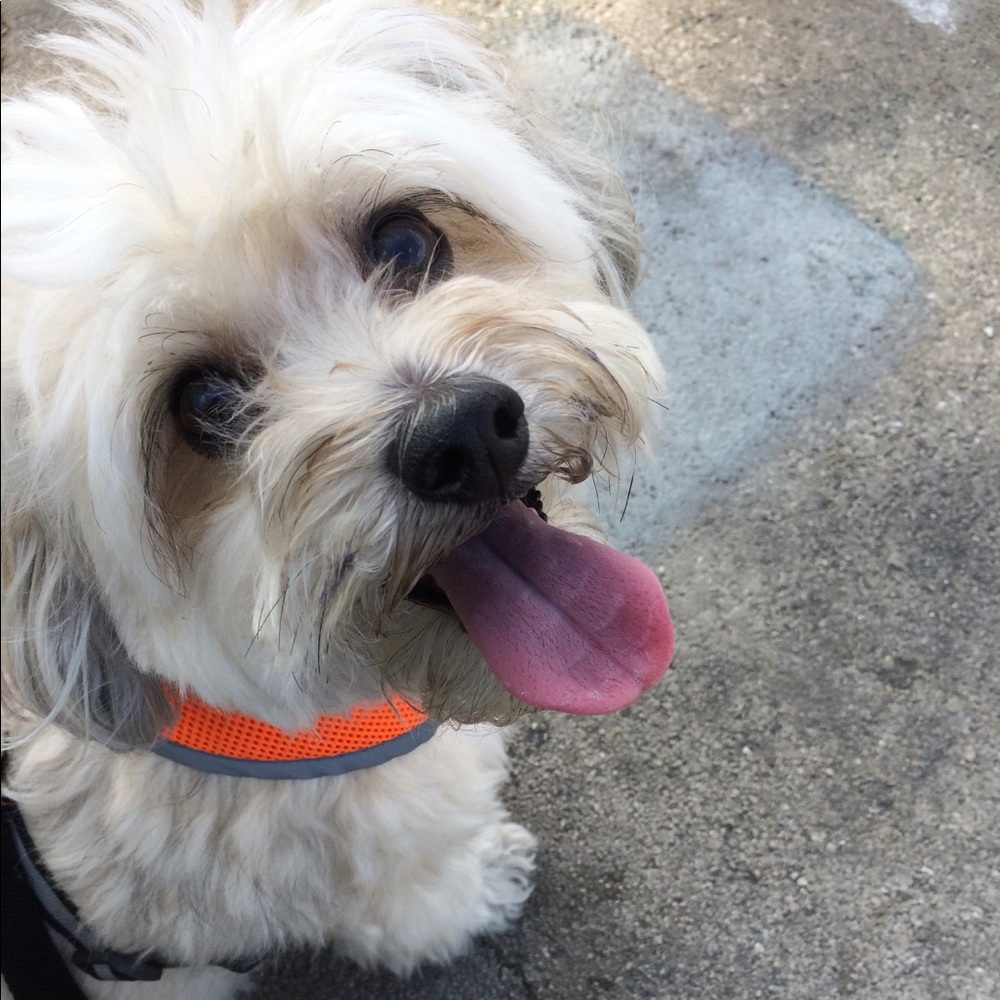 Meet your Posher, Jel