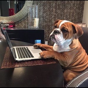 Meet your Posher, Patty