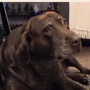 Meet your Posher, Kari