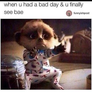 Meet your Posher, Paige