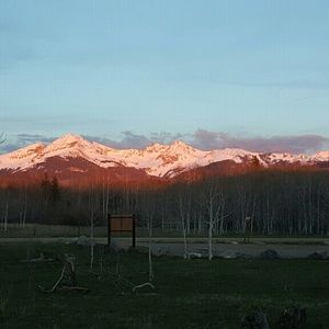 Meet your Posher, Jake