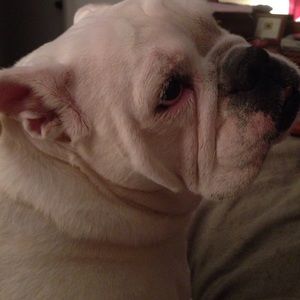 Meet your Posher, Sandy